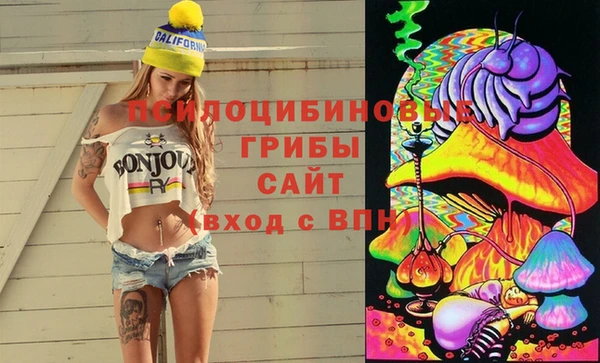 крисы Приозерск
