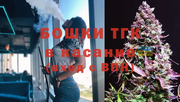 шишки Майский
