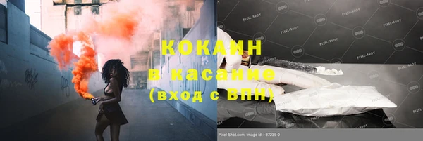 стафф Протвино
