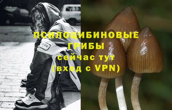 героин Липки