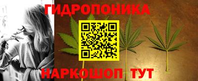 индика Кимры