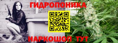 индика Кимры