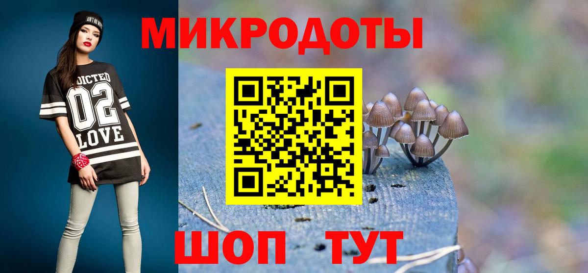Псилоцибиновые грибы прущие грибы Лосино-Петровский