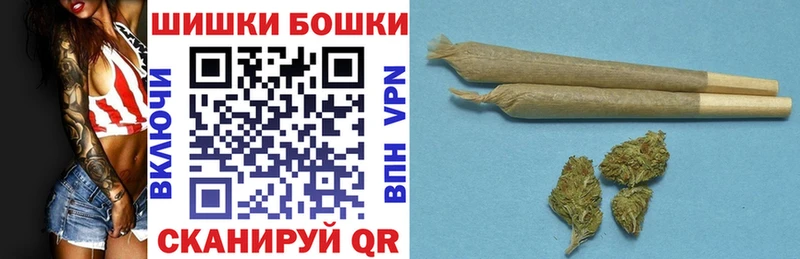 Бошки марихуана сатива  купить наркоту  Лосино-Петровский 